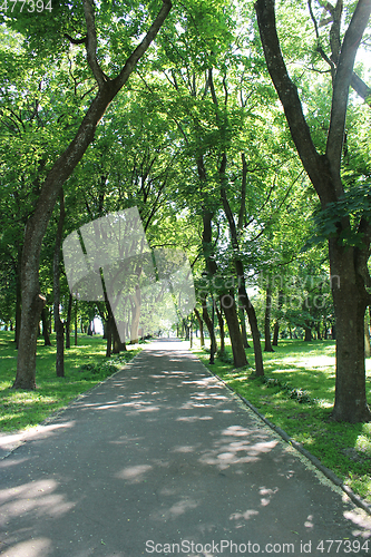 Image of park with many green trees