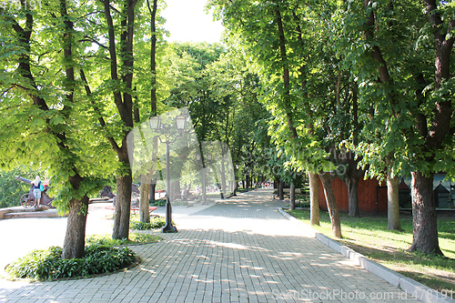 Image of city park with path and green trees