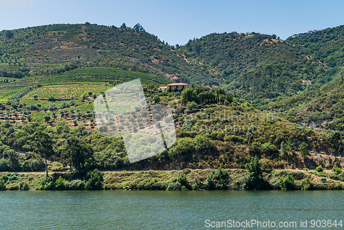 Image of View of Douro Valley, Portugal. 