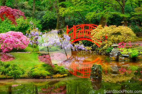 Image of Japanese garden, Park Clingendael, The Hague, Netherlands