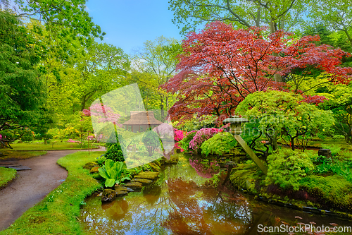 Image of Japanese garden, Park Clingendael, The Hague, Netherlands