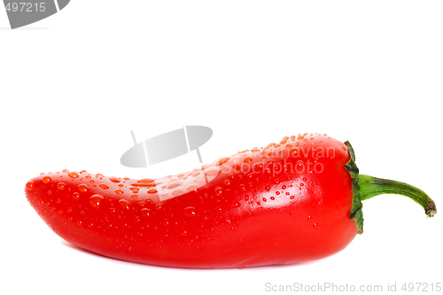 Image of Hot jalapenos