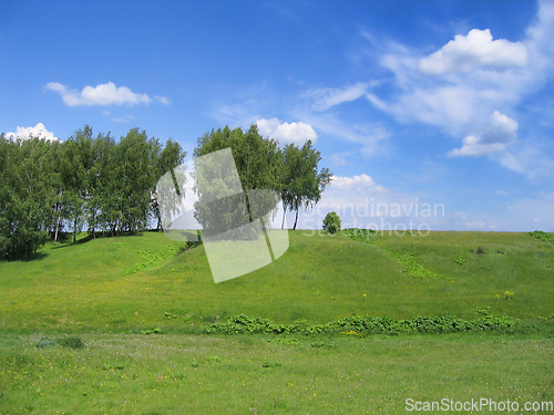 Image of Beautiful summer landscape 