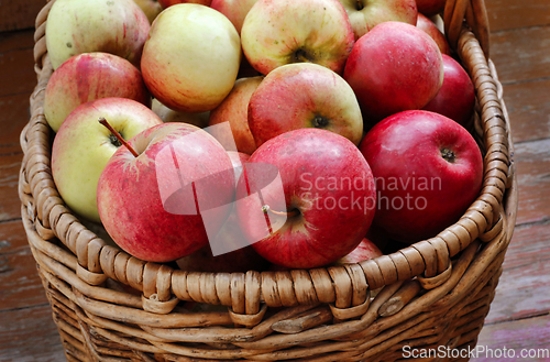 Image of Bright tasty ripe apples in a basket