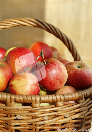 Image of Bright tasty ripe apples in a basket