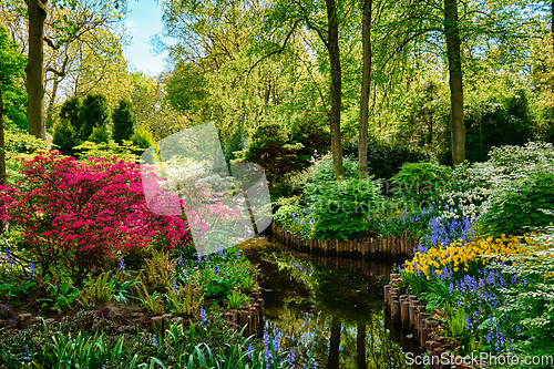 Image of Keukenhof flower garden. Lisse, the Netherlands.