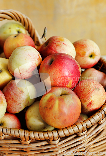 Image of Bright ripe apples in a basket