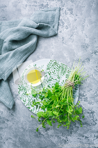 Image of Winter purslane, Indian lettuce, with olive oil and salt. Clayto