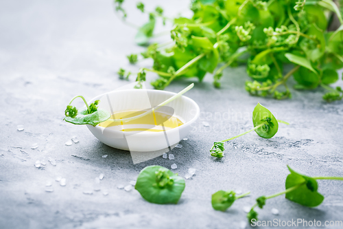 Image of Winter purslane, Indian lettuce, with olive oil and salt. Claytonia perfoliata