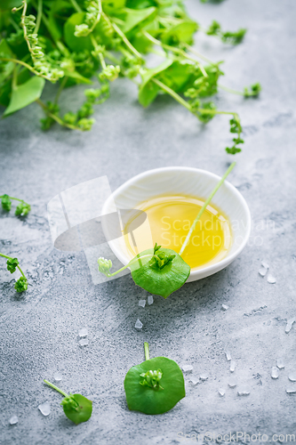 Image of Winter purslane, Indian lettuce, with olive oil and salt. Clayto