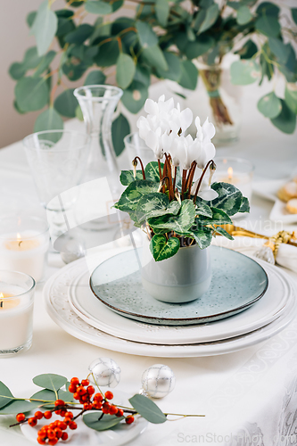 Image of Christmas table setting with eucalyptus, cutlery and potted cyclamen in white and green tone