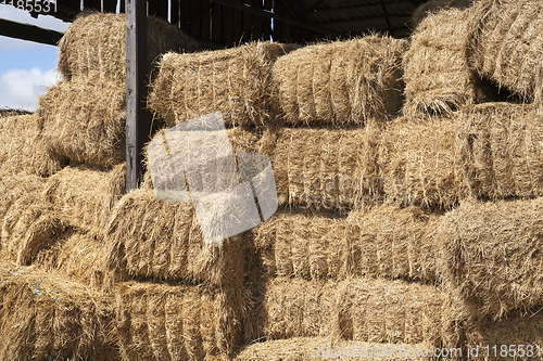 Image of square stacks of straw