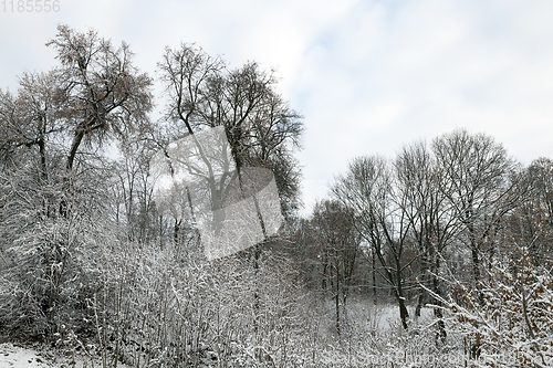 Image of Snow drifts in winter