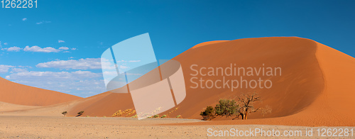 Image of Dune 45 in Sossusvlei, Namibia desert