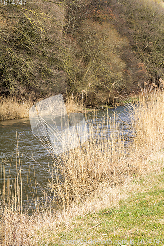 Image of riparian scenery at Jagst river