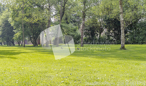 Image of idyllic park scenery