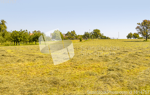 Image of rural scenery in Hohenlohe