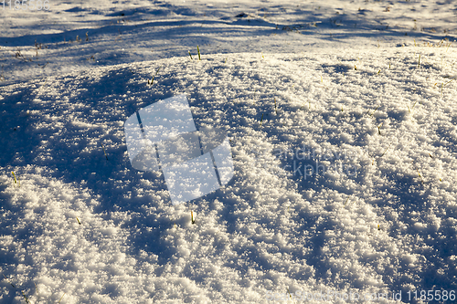 Image of After snowfall