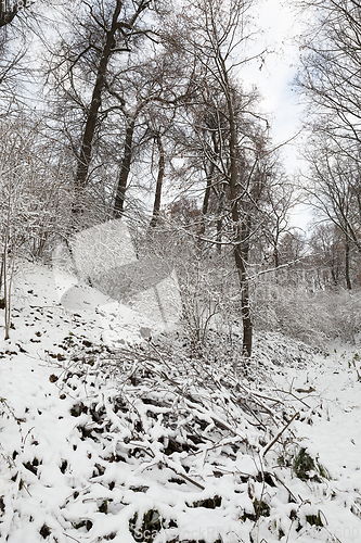 Image of Winter park with snow