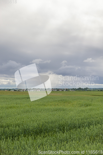 Image of agricultural field