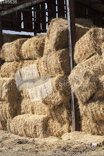 Image of pressed square bales