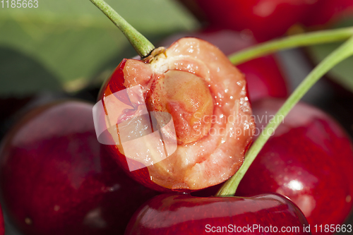 Image of red ripe cherries