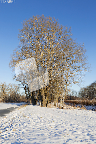 Image of Snow drifts in winter