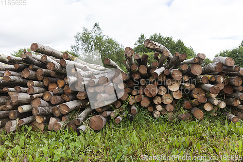 Image of old wooden logs