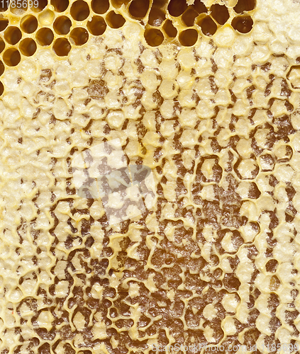 Image of closed honeycombs
