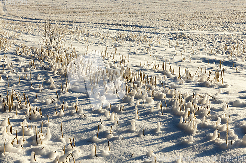 Image of Snow drifts in winter