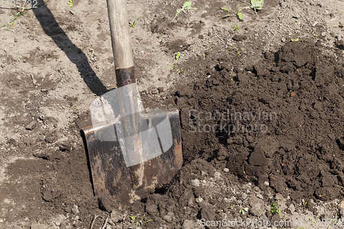 Image of old metal rusty shovel,