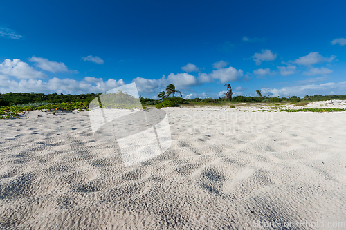 Image of Caribbean Beach