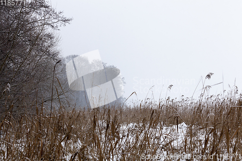 Image of Snow drifts in winter