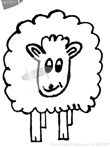 Image of sheep