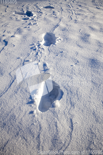 Image of deep snow drifts