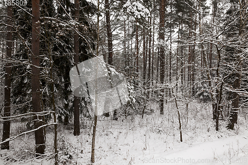 Image of Snow drifts in winter