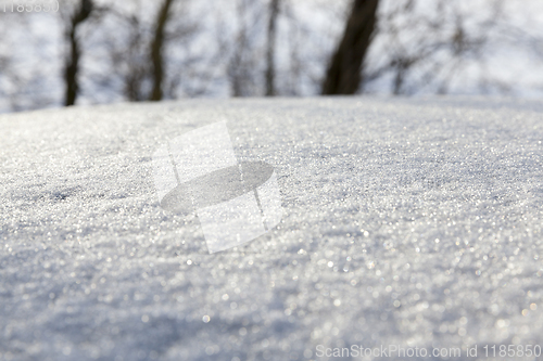 Image of After snowfall