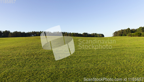 Image of summer landscape