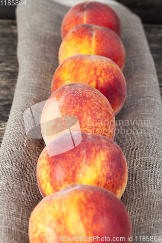 Image of row ripe orange peaches