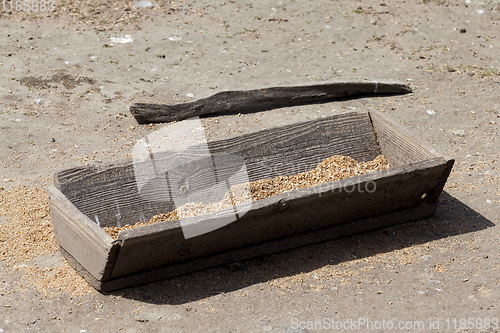 Image of old wooden trough with grain