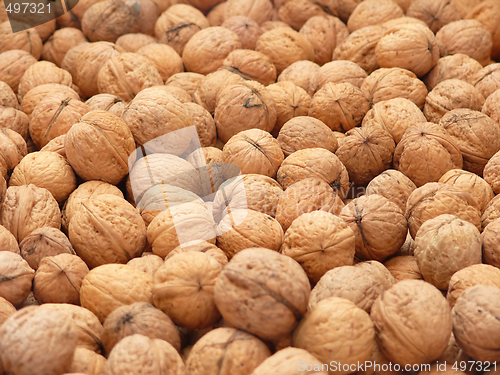 Image of Walnuts