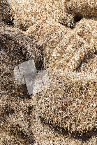Image of square stacks of straw