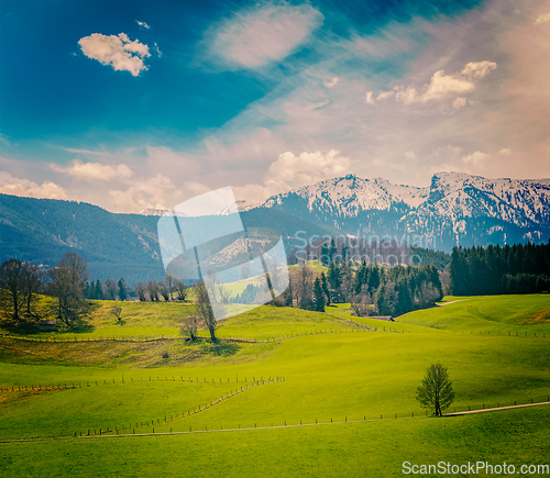 Image of German idyllic pastoral countryside in spring with Alps in backg