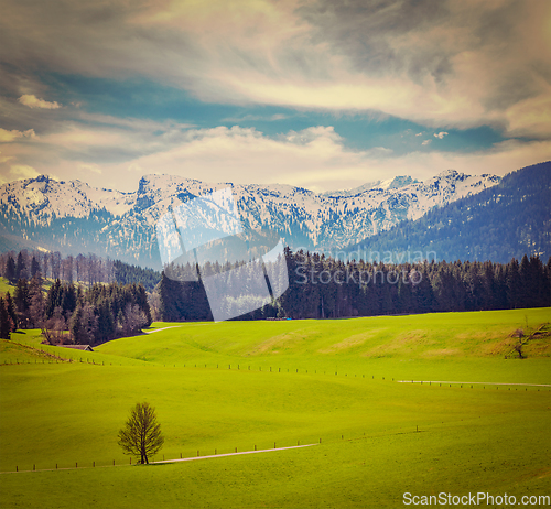 Image of German idyllic pastoral countryside in spring with Alps in backg