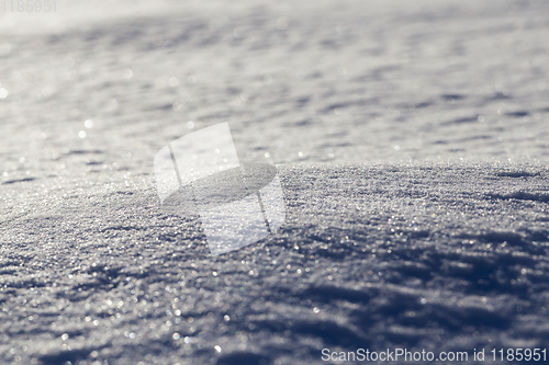 Image of ound under snow