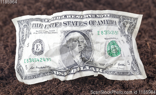 Image of one crumpled American dollar