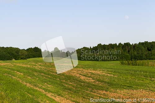 Image of summer landscape