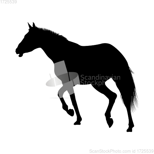 Image of Horse Silhouette