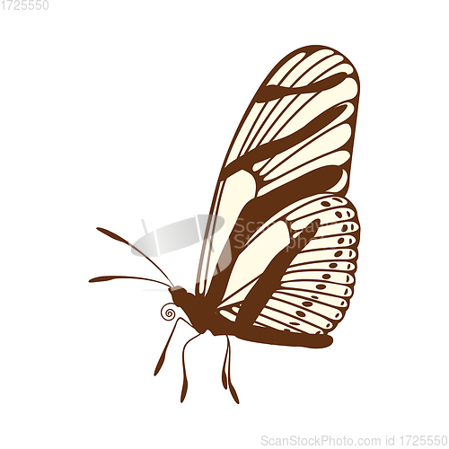 Image of Sketch of Butterfly