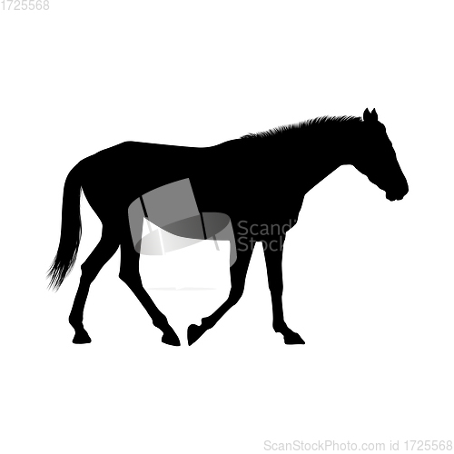 Image of Horse Silhouette